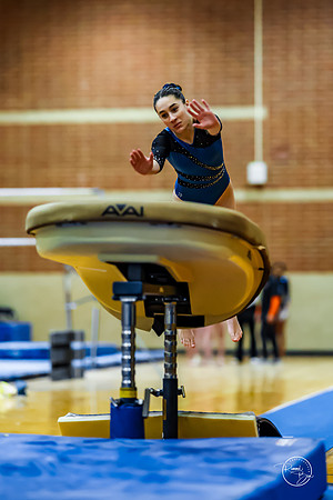 20260123 Senior Night Valley Gymnastics-97