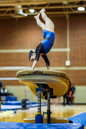 20260123 Senior Night Valley Gymnastics-99