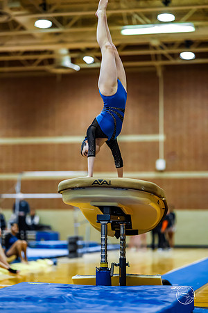 20260123 Senior Night Valley Gymnastics-100