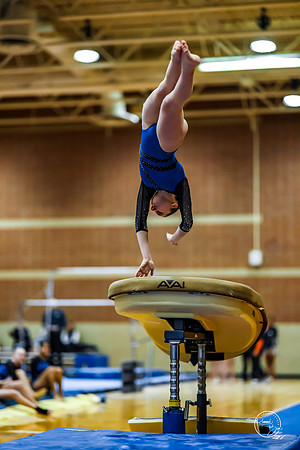 20260123 Senior Night Valley Gymnastics-101
