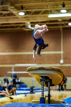 20260123 Senior Night Valley Gymnastics-102
