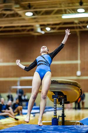 20260123 Senior Night Valley Gymnastics-103