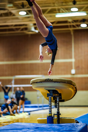 20260123 Senior Night Valley Gymnastics-113