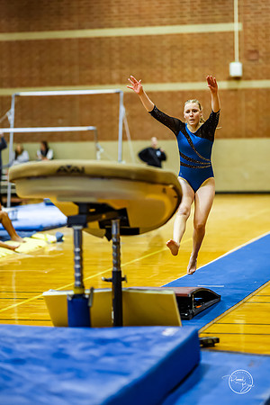 20260123 Senior Night Valley Gymnastics-119