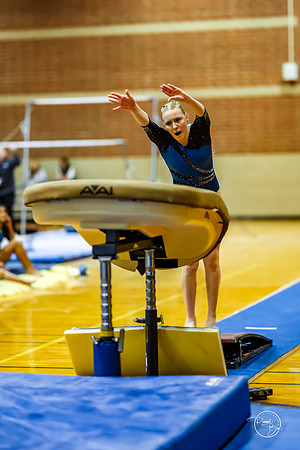 20260123 Senior Night Valley Gymnastics-121