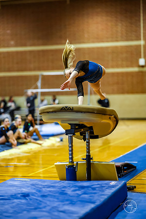 20260123 Senior Night Valley Gymnastics-123