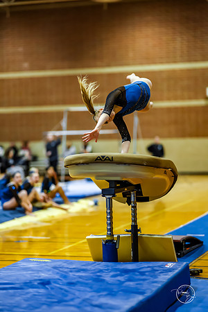 20260123 Senior Night Valley Gymnastics-124