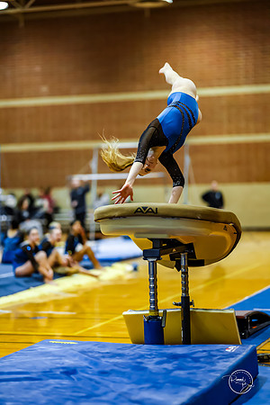 20260123 Senior Night Valley Gymnastics-125