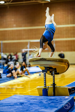 20260123 Senior Night Valley Gymnastics-126