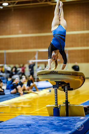 20260123 Senior Night Valley Gymnastics-127