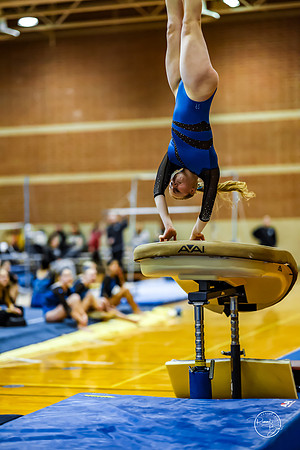 20260123 Senior Night Valley Gymnastics-128