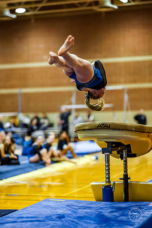 20260123 Senior Night Valley Gymnastics-129