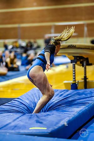 20260123 Senior Night Valley Gymnastics-131