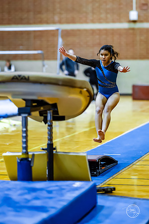20260123 Senior Night Valley Gymnastics-133