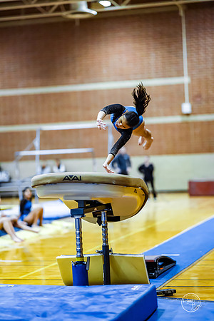 20260123 Senior Night Valley Gymnastics-137
