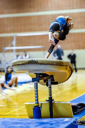 20260123 Senior Night Valley Gymnastics-138