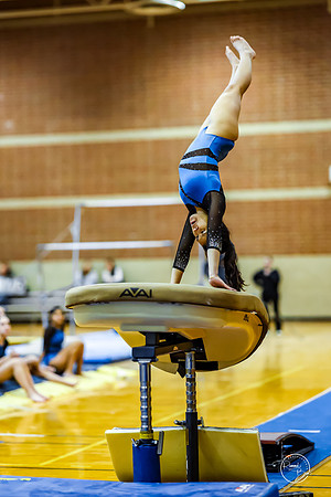 20260123 Senior Night Valley Gymnastics-139
