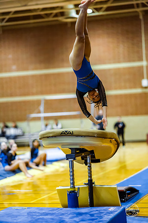 20260123 Senior Night Valley Gymnastics-141