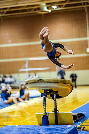 20260123 Senior Night Valley Gymnastics-143