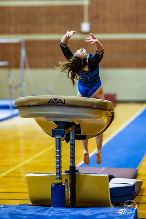 20260123 Senior Night Valley Gymnastics-148