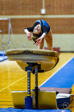 20260123 Senior Night Valley Gymnastics-149