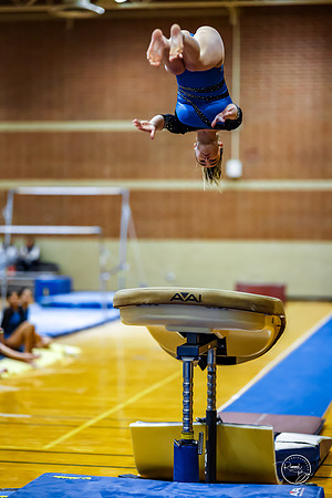 20260123 Senior Night Valley Gymnastics-154