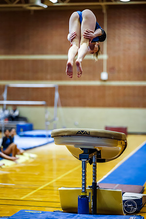 20260123 Senior Night Valley Gymnastics-155