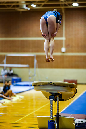 20260123 Senior Night Valley Gymnastics-156