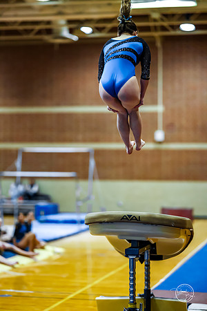 20260123 Senior Night Valley Gymnastics-157