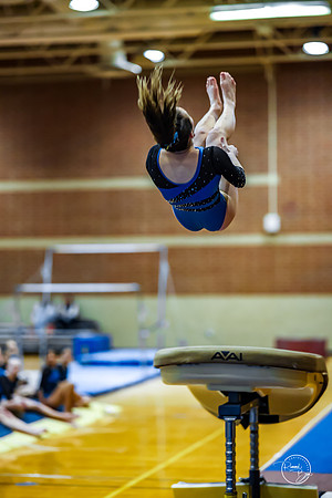 20260123 Senior Night Valley Gymnastics-158