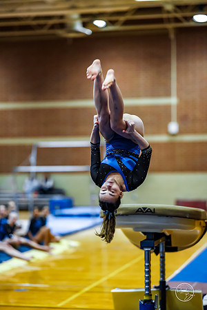 20260123 Senior Night Valley Gymnastics-159
