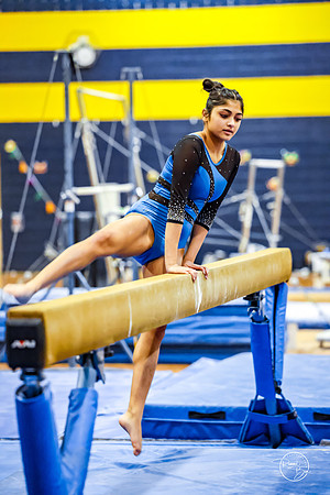 20260123 Senior Night Valley Gymnastics-234