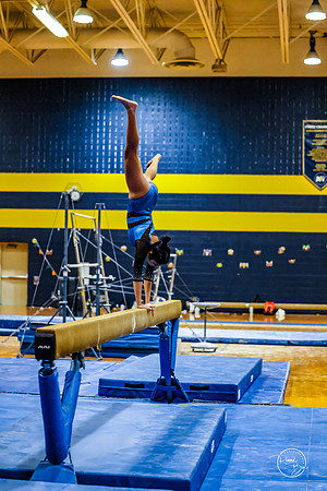 20260123 Senior Night Valley Gymnastics-243