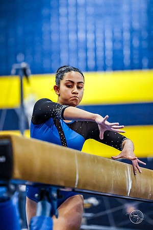 20260123 Senior Night Valley Gymnastics-250
