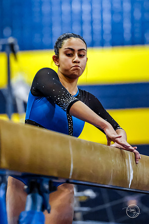 20260123 Senior Night Valley Gymnastics-251