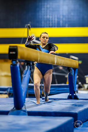 20260123 Senior Night Valley Gymnastics-252