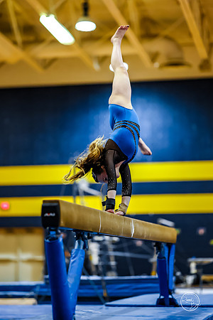 20260123 Senior Night Valley Gymnastics-261