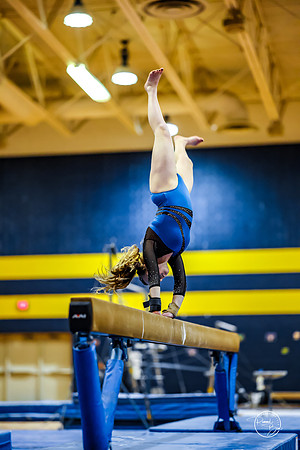 20260123 Senior Night Valley Gymnastics-262
