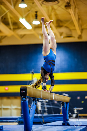 20260123 Senior Night Valley Gymnastics-263