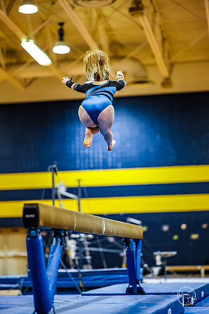 20260123 Senior Night Valley Gymnastics-264