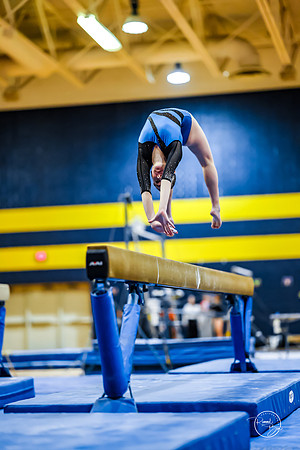 20260123 Senior Night Valley Gymnastics-275