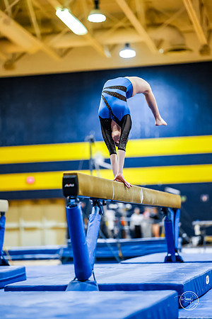 20260123 Senior Night Valley Gymnastics-276