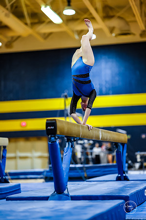20260123 Senior Night Valley Gymnastics-277