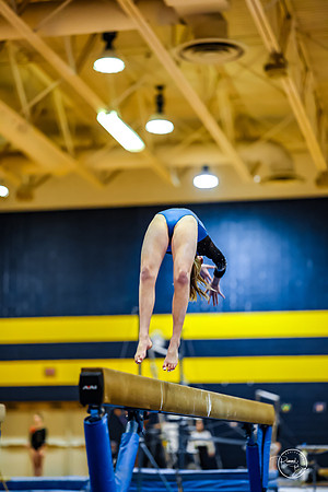 20260123 Senior Night Valley Gymnastics-298
