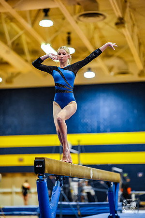 20260123 Senior Night Valley Gymnastics-303