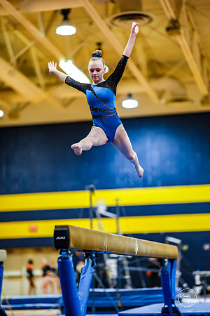 20260123 Senior Night Valley Gymnastics-329