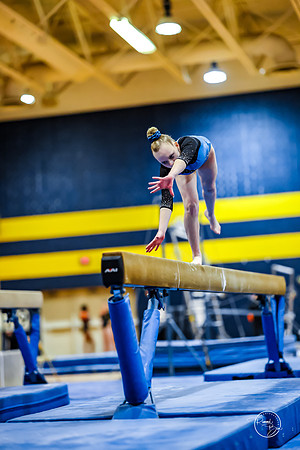 20260123 Senior Night Valley Gymnastics-331