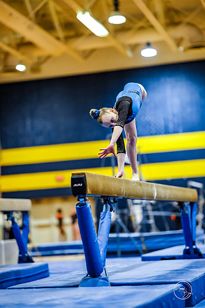 20260123 Senior Night Valley Gymnastics-332