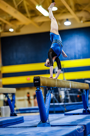 20260123 Senior Night Valley Gymnastics-334