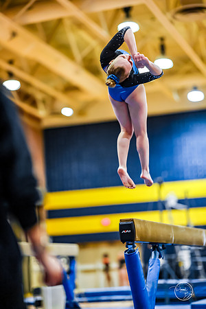 20260123 Senior Night Valley Gymnastics-336